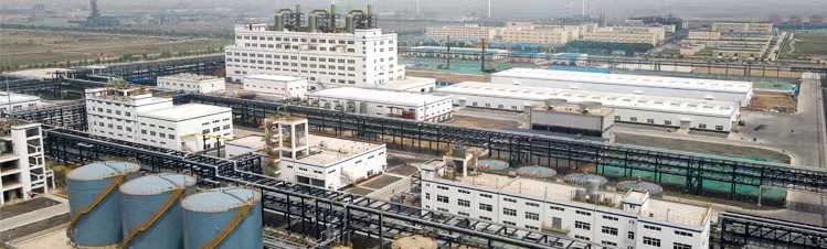 亚星|会员|登录|平台